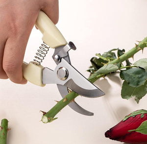 Pruning Shears